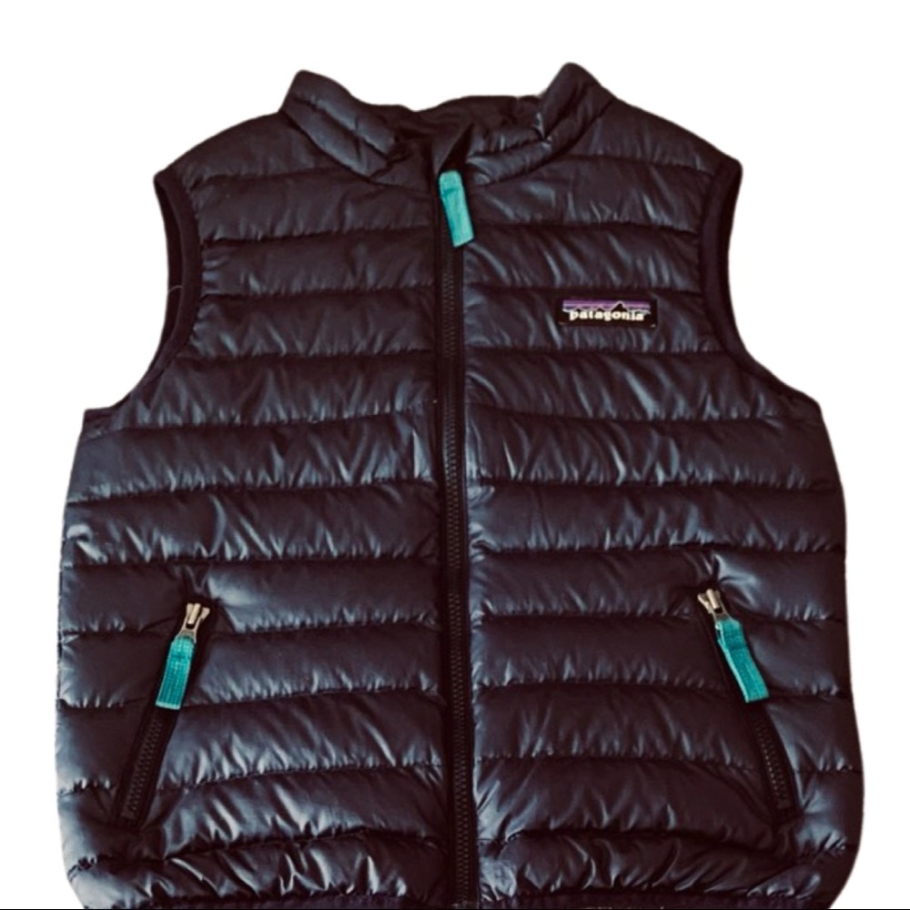 Patagonia vest